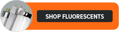 shop-fluorescents